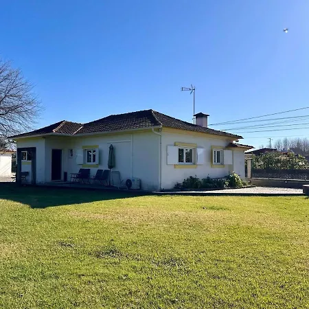 T3 Cozy Old House With Xl Garden * Borralha