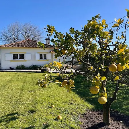 Nyaraló T3 Cozy Old House With Xl Garden *