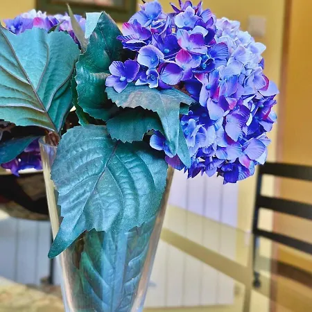 T3 Cozy Old House With Xl Garden Nyaraló Borralha